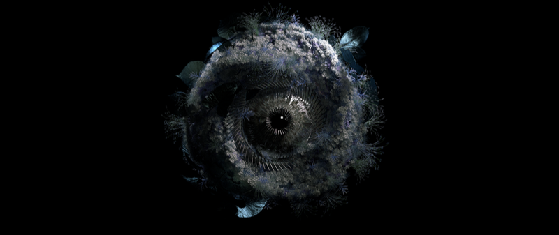 AIRE visual — organic sphere